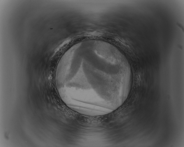 X0000100481254200807031843