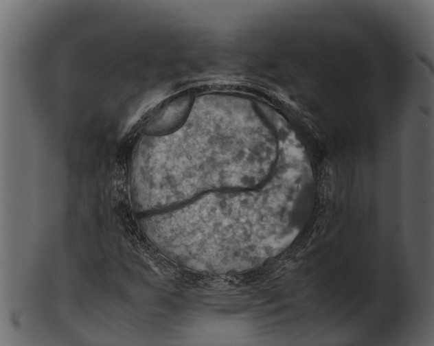 X0000100481255200807031843