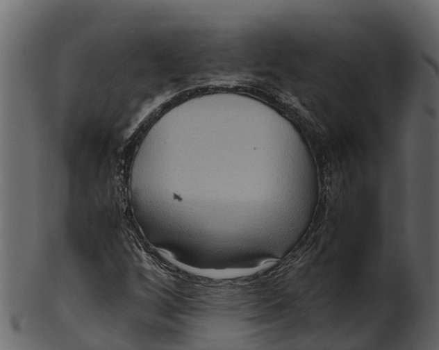 X0000100481256200807031843