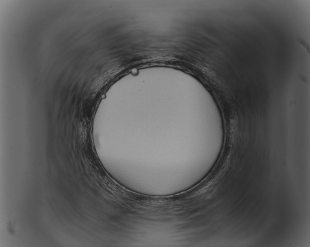 X0000100481257200807031843