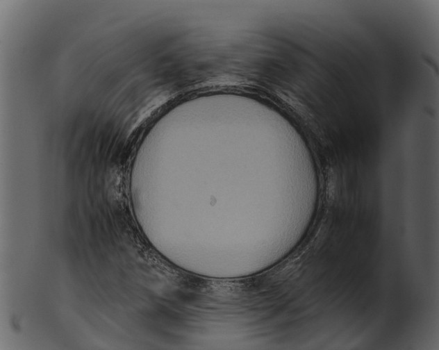 X0000100481258200807031843