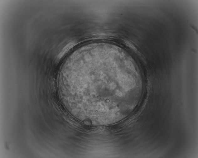 X0000100481259200807031843