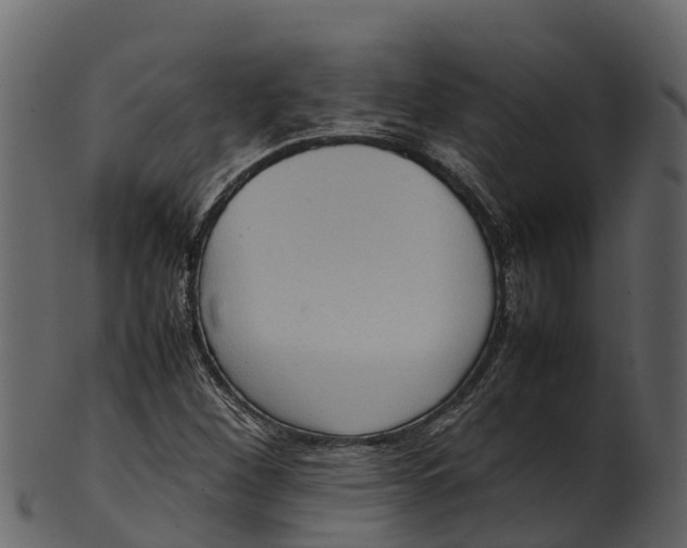 X0000100481260200807031843