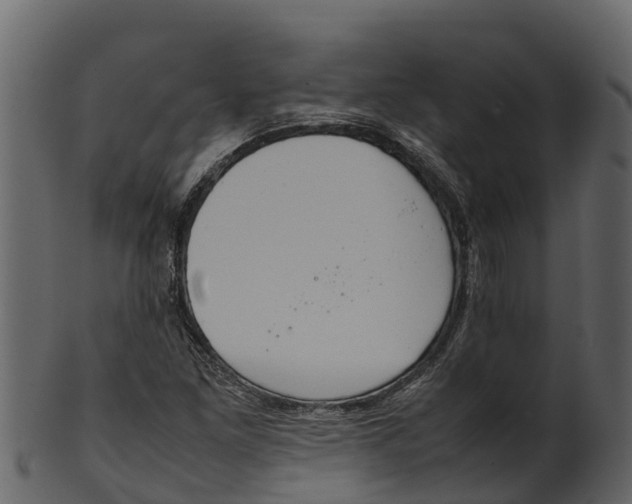 X0000100481261200807031843