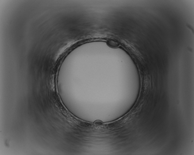 X0000100481262200807031843