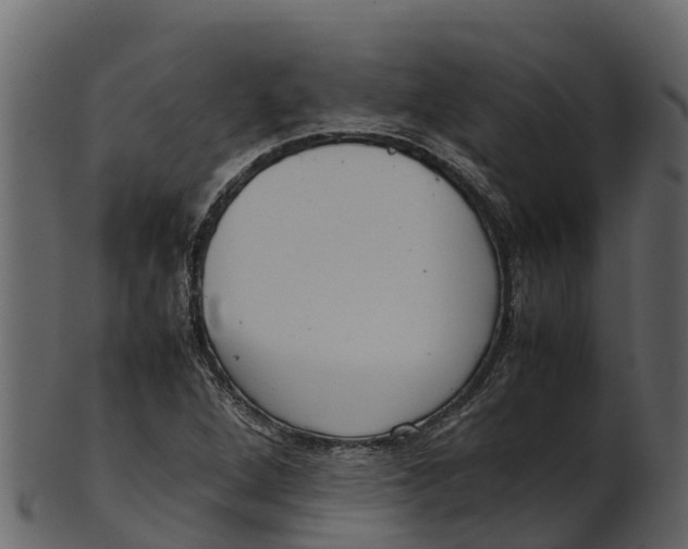 X0000100481264200807031843