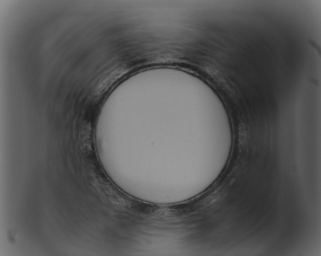 X0000100481265200807031843