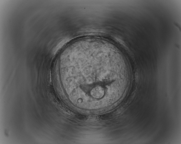 X0000100481267200807031843