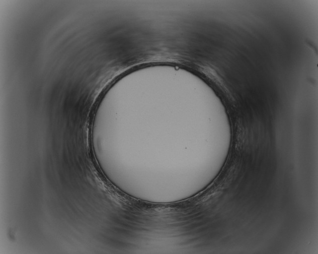 X0000100481268200807031843