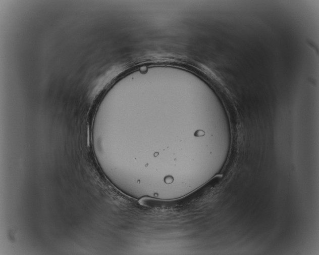 X0000100481269200807031843