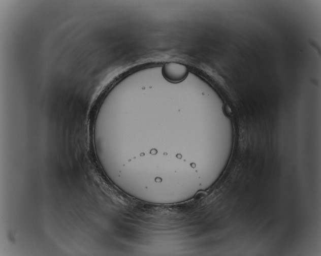 X0000100481270200807031843