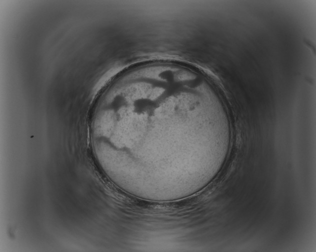 X0000100481271200807031843