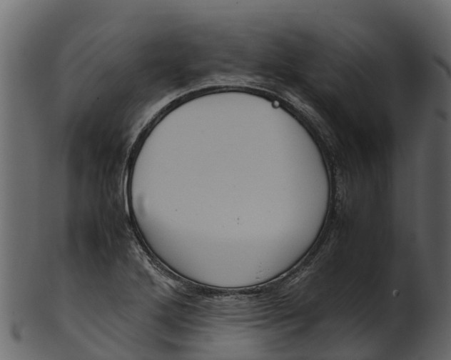 X0000100481272200807031843