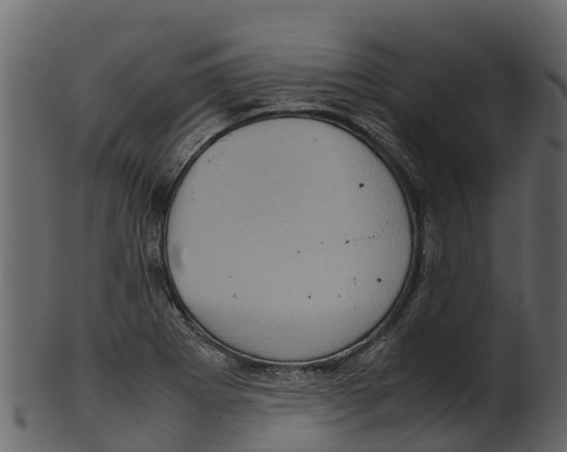 X0000100481273200807031843