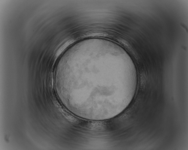 X0000100481274200807031843