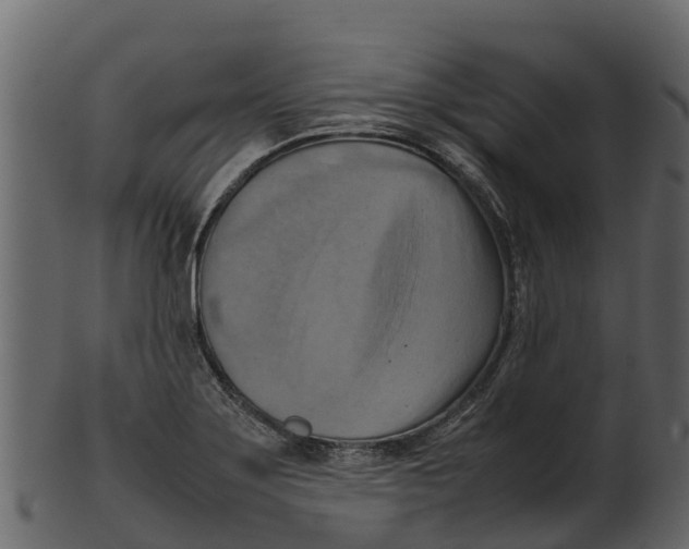 X0000100481275200807031843