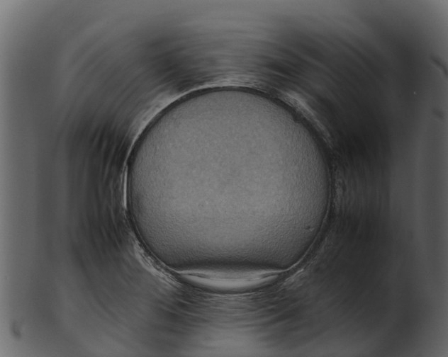 X0000100481276200807031843