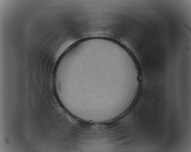 X0000100481277200807031843