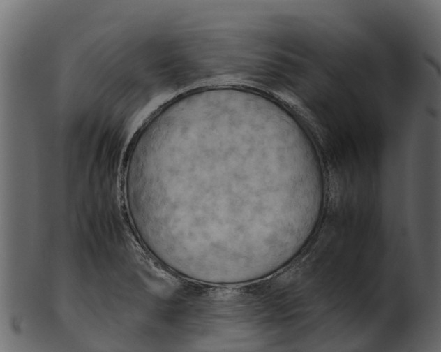 X0000100481278200807031843