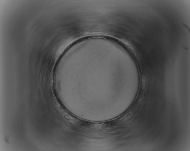 X0000100481279200807031843