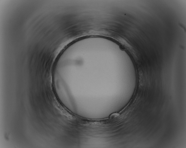 X0000100481280200807031843