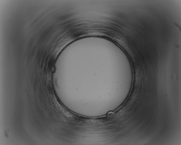 X0000100481281200807031843