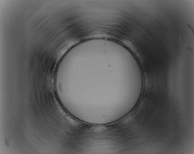 X0000100481282200807031843