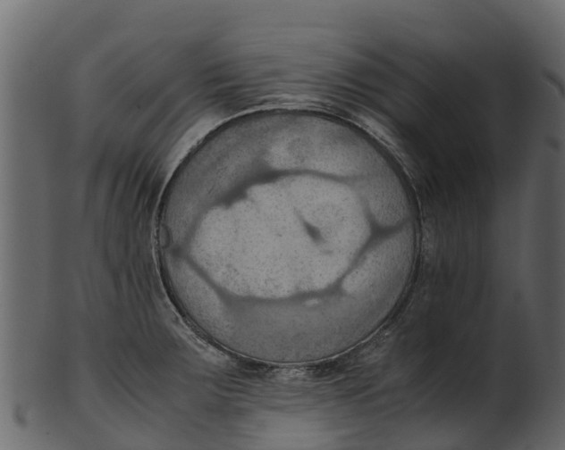 X0000100481283200807031843