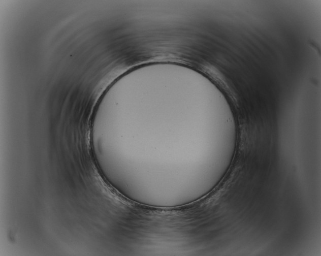 X0000100481284200807031843