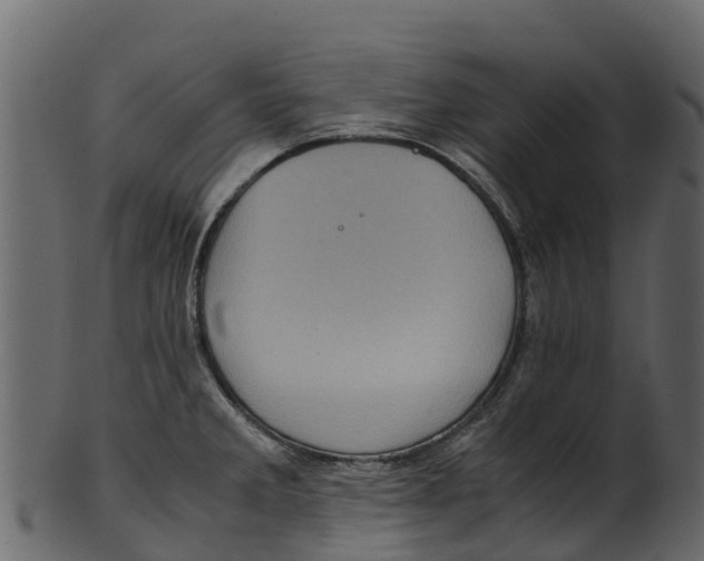 X0000100481285200807031843