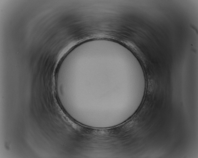 X0000100481286200807031843