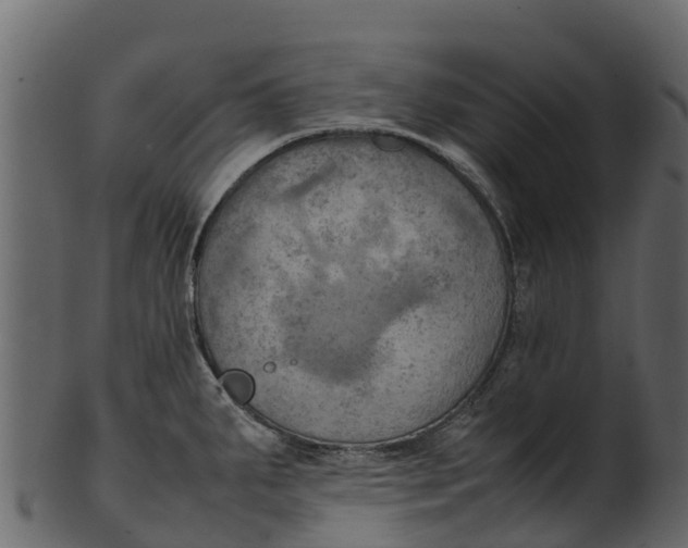 X0000100481287200807031843