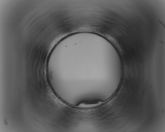 X0000100481288200807031843