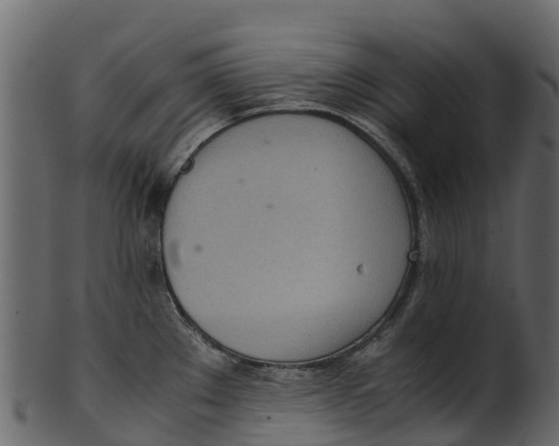 X0000100481289200807031843