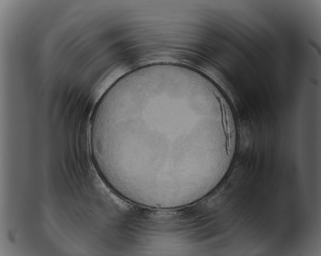 X0000100481290200807031843