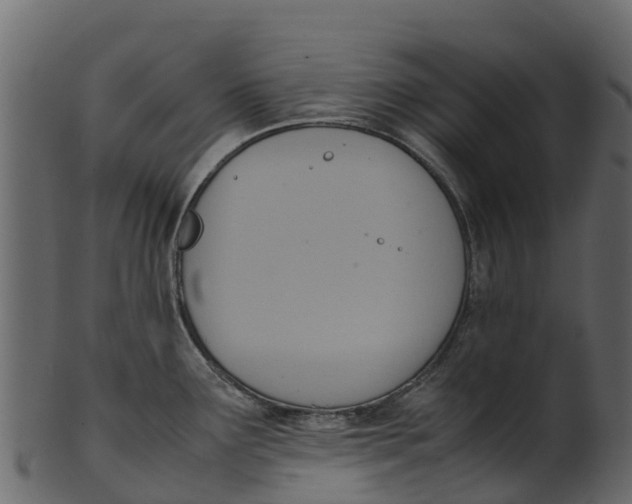 X0000100481291200807031843