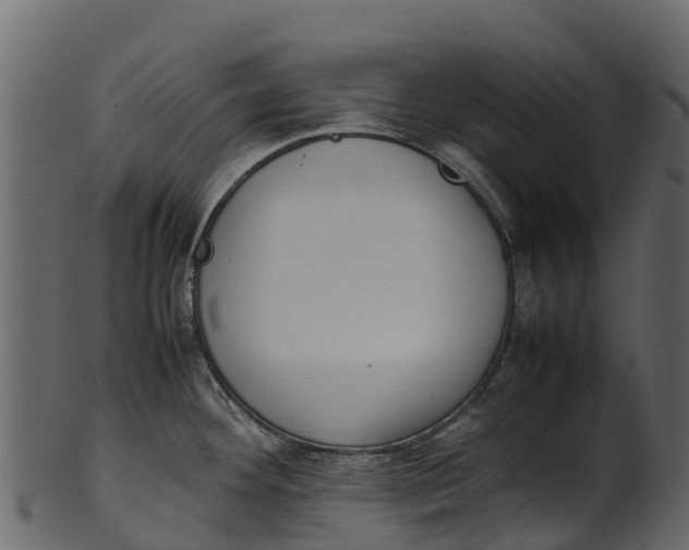 X0000100481292200807031843