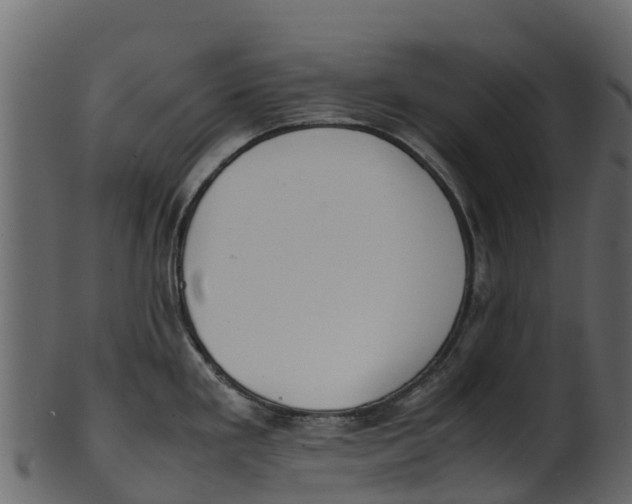 X0000100481293200807031843