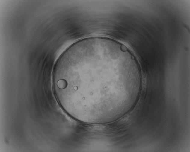 X0000100481294200807031843