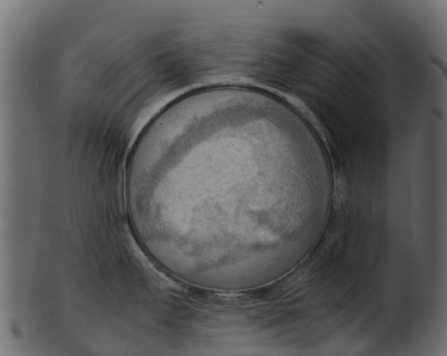 X0000100481295200807031843