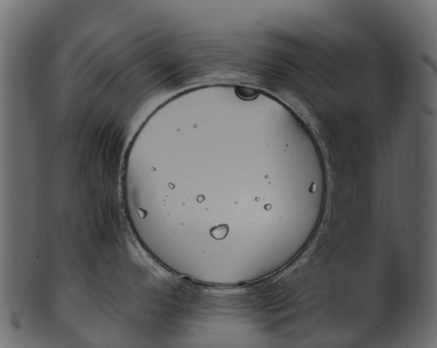 X0000100481296200807031843