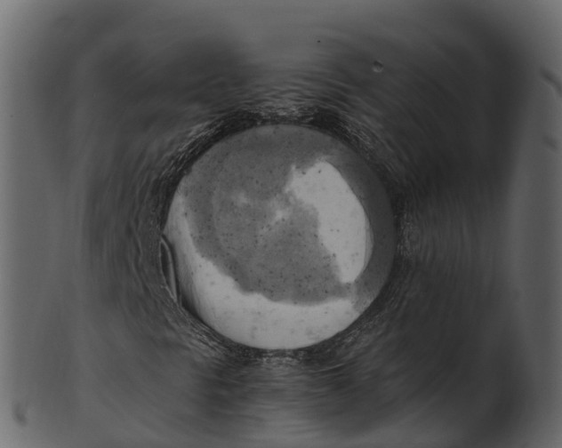 X0000100481297200807031842