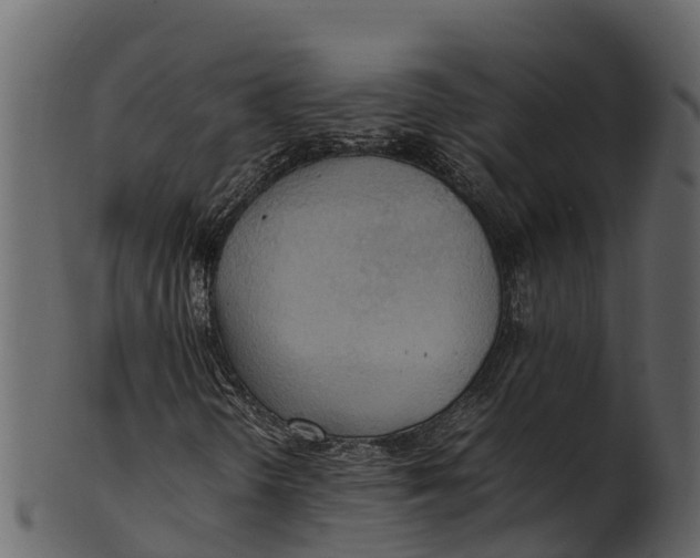 X0000100481298200807031842