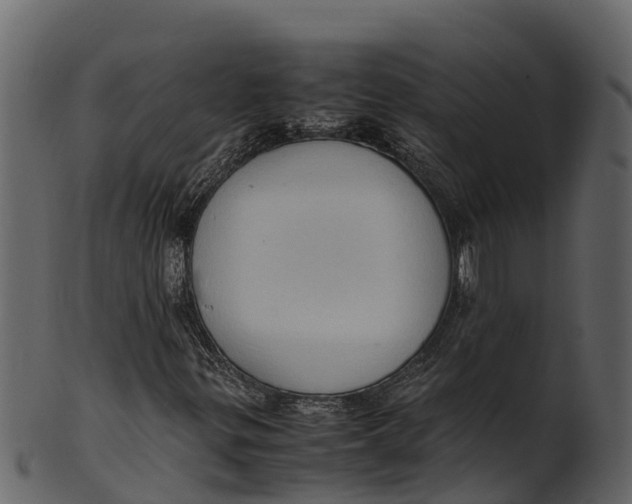 X0000100481299200807031842