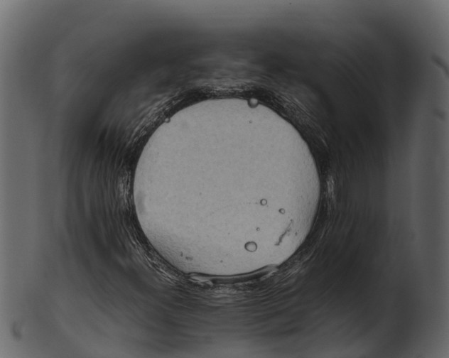 X0000100481300200807031842