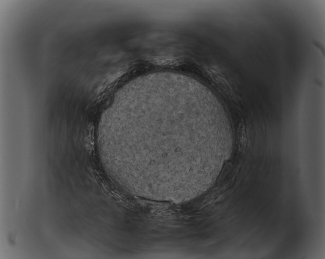 X0000100481301200807031842