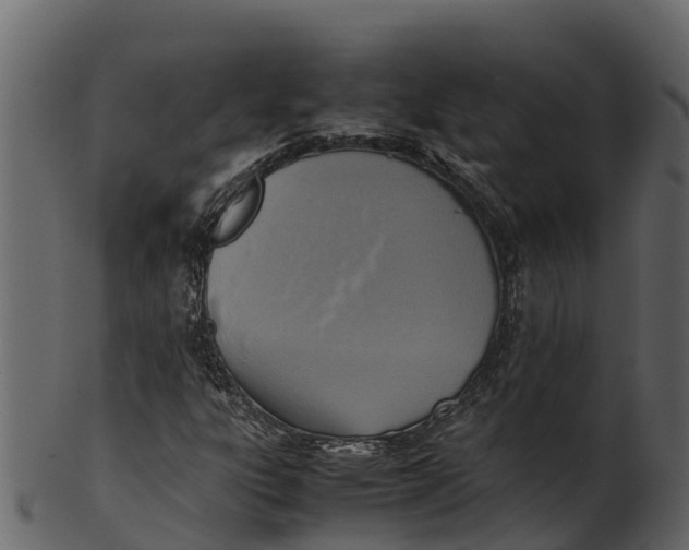 X0000100481303200807031842