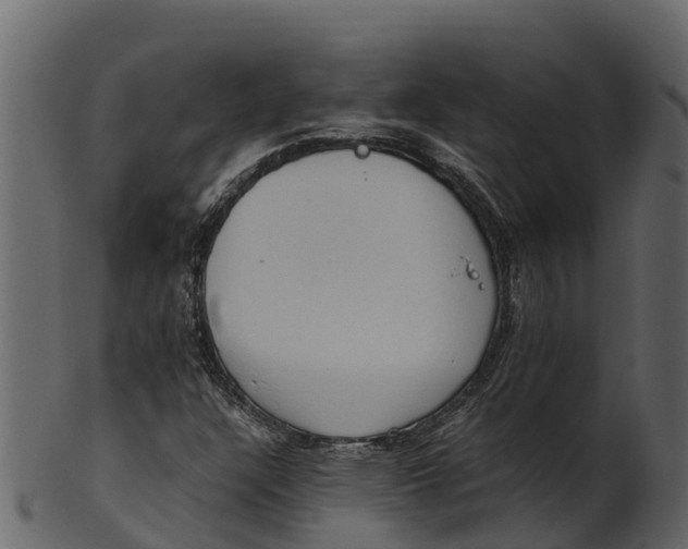 X0000100481304200807031842