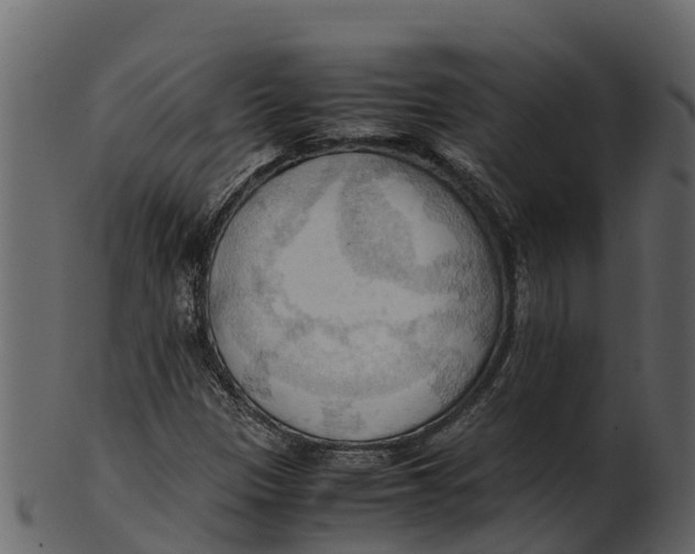 X0000100481305200807031842