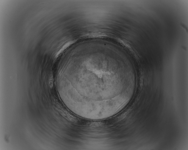 X0000100481306200807031842